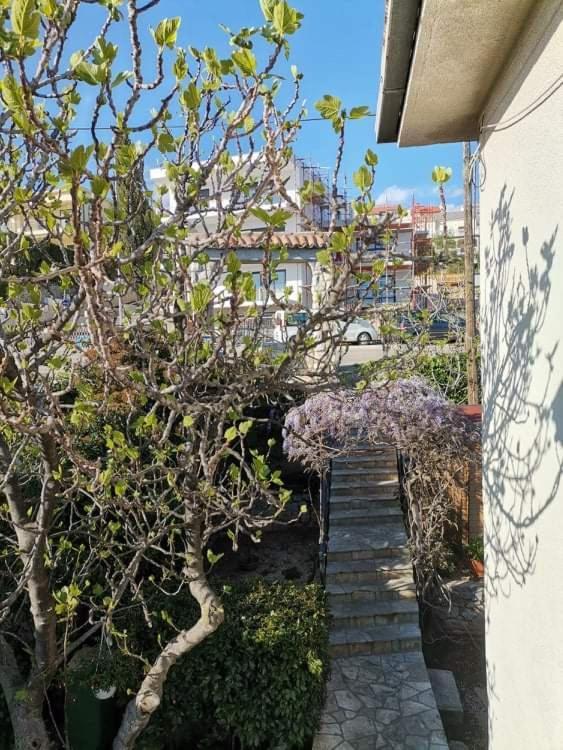 Guest House Sunce Novi Vinodolski Buitenkant foto