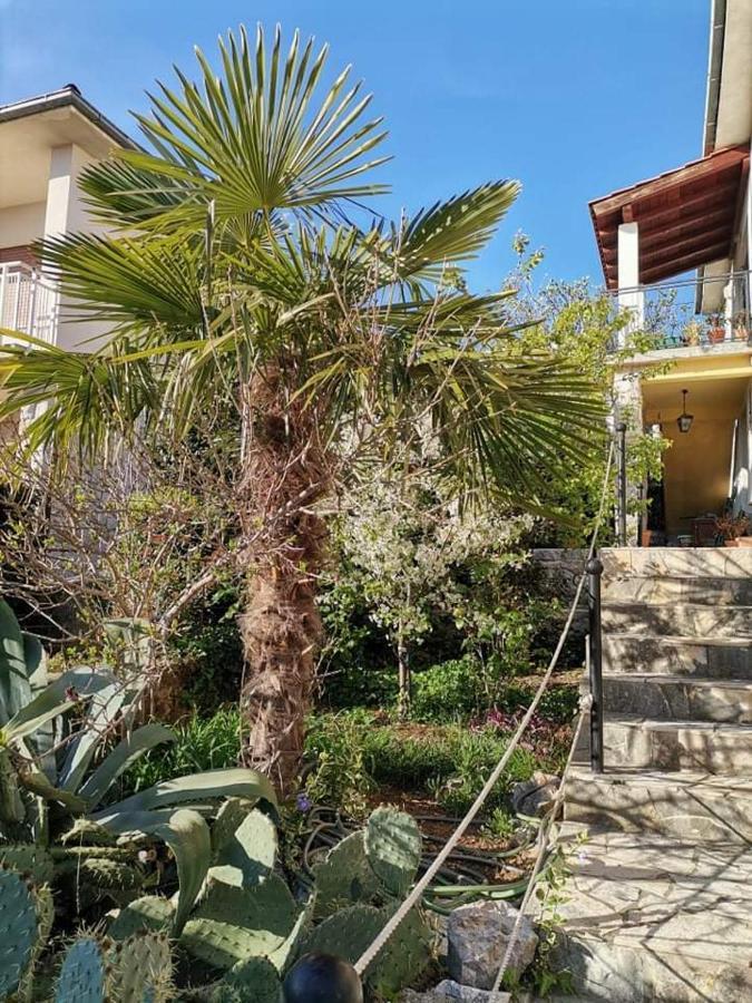Guest House Sunce Novi Vinodolski Buitenkant foto